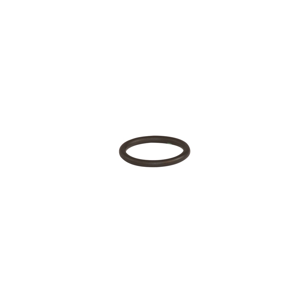 [110955] JUNTA TÓRICA