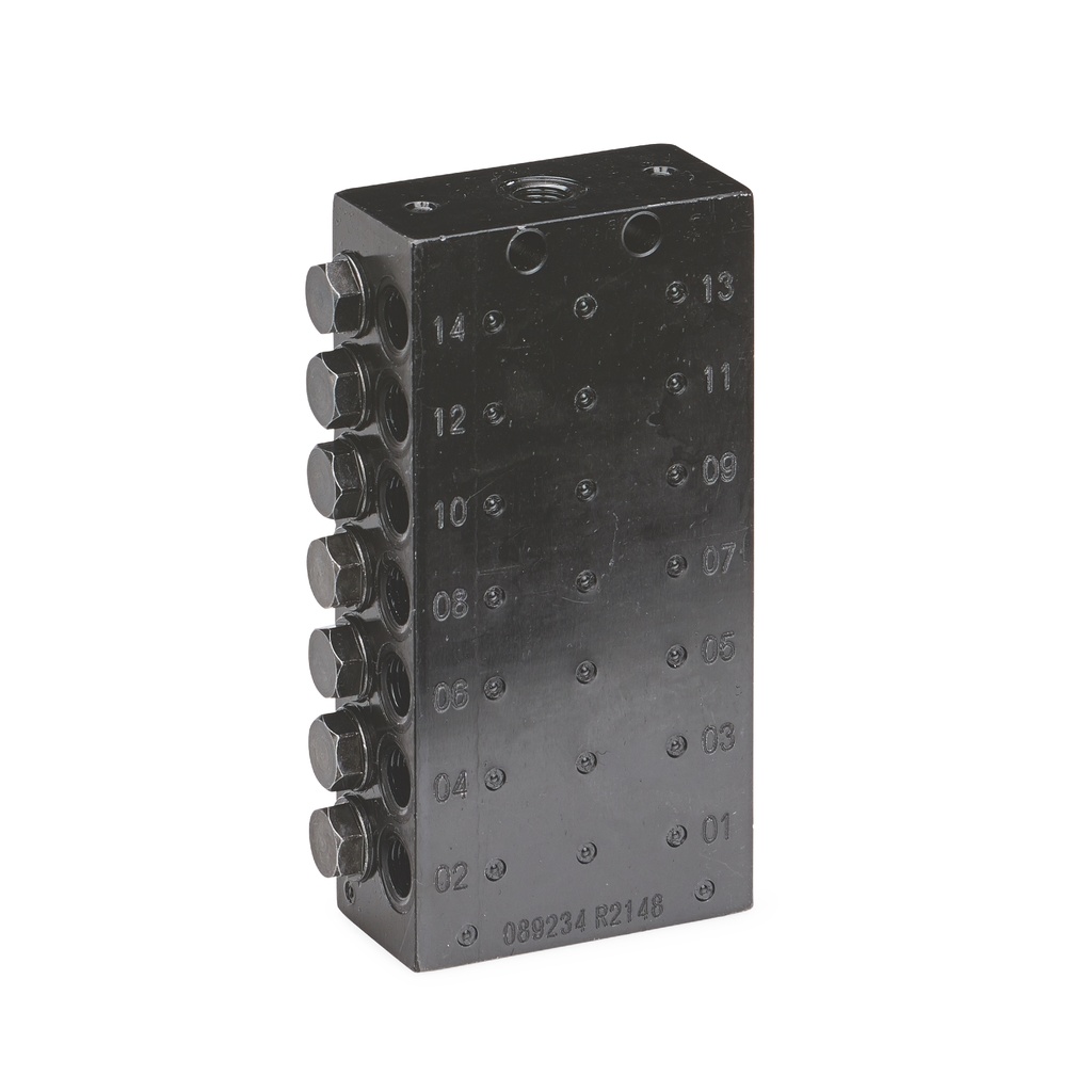 [24Z490] CONECTOR ESTÁNDAR PERSONALIZADO VÁLVULA, 14 SALIDA, ROSCA NPT, PAQUETE