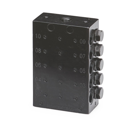 [24Z488] CONECTOR ESTÁNDAR PERSONALIZADO VÁLVULA, 10 SALIDA, ROSCA NPT, PAQUETE