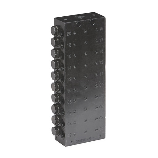 [24Z493] CONECTOR ESTÁNDAR PERSONALIZADO VÁLVULA, 20 SALIDA, ROSCA NPT, PAQUETE
